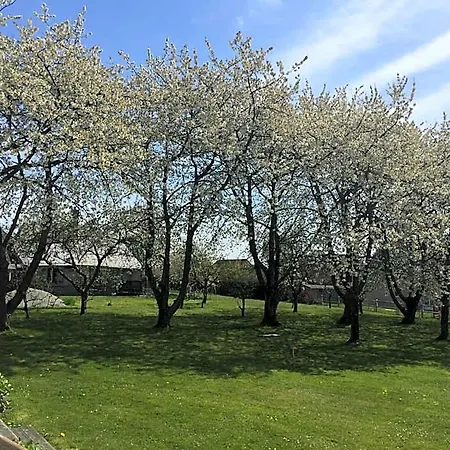 D'hotes Le Clos De La Bertiniere Petit Dejeuner Inclus Frühstückspension 3*